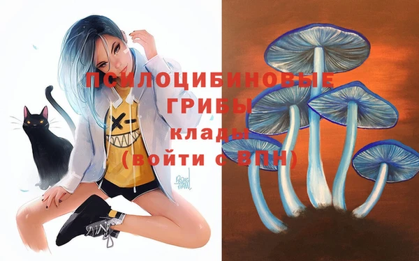 мяу мяу мука Алексин