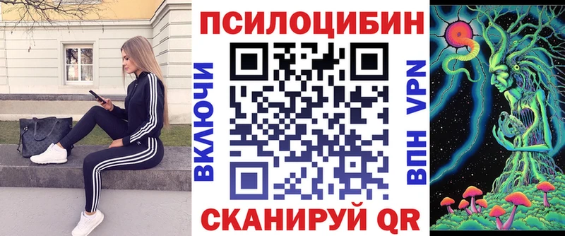 Псилоцибиновые грибы Psilocybine cubensis  Аркадак 
